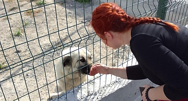 Özel Medigün Akhisar Hastanesi Halkla İlişkiler ekibi Dünya Sokak Hayvanları Günü sebebiyle Akhisar  Belediyesi Doğal Yaşam Alanını ziyaret etti.