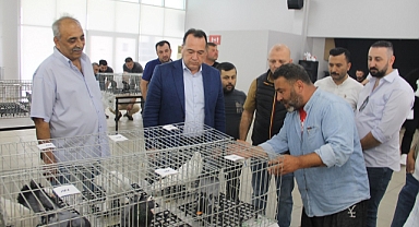 Akhisar’da 12’ncisi düzenlenen Güvercin Güzellik Yarışması ilgi gördü
