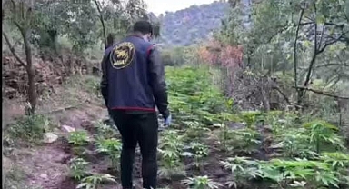 Akhisar'da Jandarma Operasyonu: Uyuşturucu ve Silah Ele Geçirildi