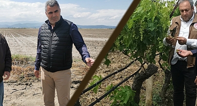 İlçe Tarım Müdürlüğü, zarar gören arazilerde inceleme yaptı