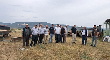 Meralar Hayvan Sahiplerinin Hizmetine Sunuluyor
