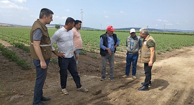 Zarar Gören Tarım Ürünleri İçin Tespit Çalışmaları Yapılıyor