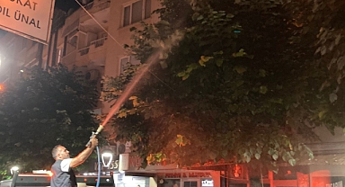 Büyükşehirden Haşerelere Geçit Yok