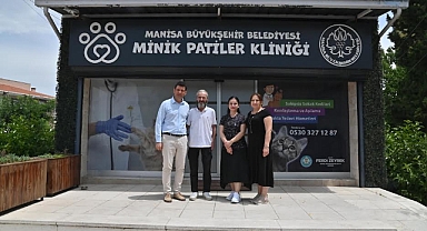 Kısırlaştırılan kedi sayısı 2 bine ulaştı