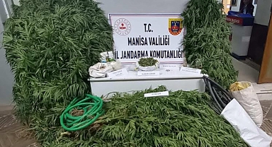 Cezaevi firarisi kenevir sularken suçüstü yakalandı!