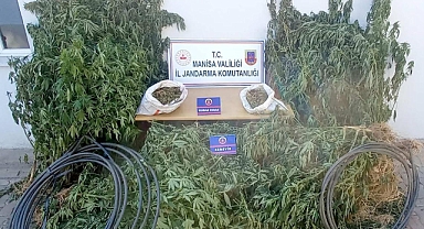 Jandarma'dan Uyuşturucu Operasyonu