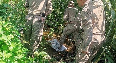 Jandarma uyuşturucu tacirlerini Tarlasında Yakaladı