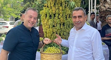 ÜZÜM SEZONU BEREKETLİ BAŞLADI
