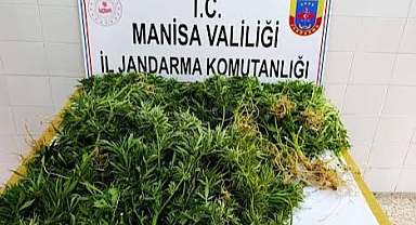 Akhisar, Alaşehir ve Gördes'te Uyuşturucu Operasyonu: 2 Kişi Tutuklandı