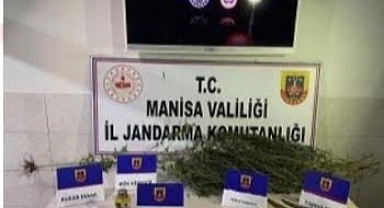 JASAT’tan Uyuşturucu Operasyonu