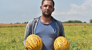 Manisalı Çiftçi Ahmet Fidan, Kavun Fiyatlarındaki Düşüşten Yakındı: 