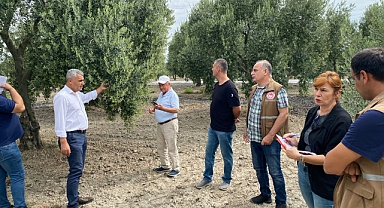 Zeytin Rekolte Tespit Komisyonu Toplandı