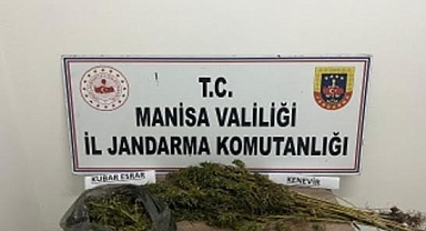 Jandarma'dan Zeytinliova'da uyuşturucu operasyonu