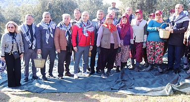 Akhisar’da Zeytin Hasat Etkinliği Düzenlendi