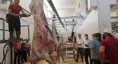 HALK EĞİTİMİ MERKEZİ MÜDÜRLÜĞÜ TARAFINDAN KURBAN KESİM ELEMANI KURSU AÇILACAKTIR.