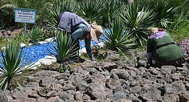 Manisa'da Kurakçıl Peyzajla Suyun Geleceği Güvence Altında