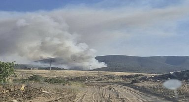 Manisa Saruhanlı'da Orman Yangını: 3 Mahalle Tahliye Edildi