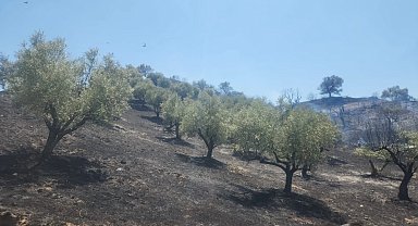 Turgutlu Derbent'teki Yangın Büyümeden Söndürüldü