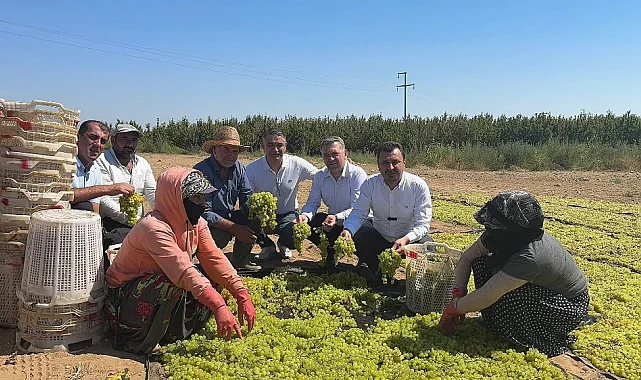 CHP'li Başevirgen'den TMO'ya Çağrı: "Üzüm Taban Fiyatı Açıklansın, Çiftçi Rahat Nefes Alsın"