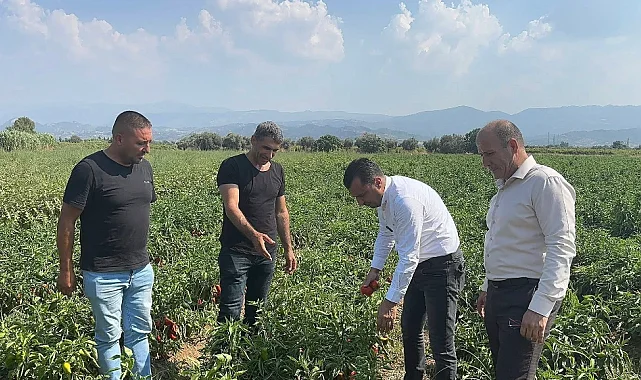 Çiftçiden CHP'li Başevirgen'e isyan: "Bu düzen çiftçiyi bitirir"
