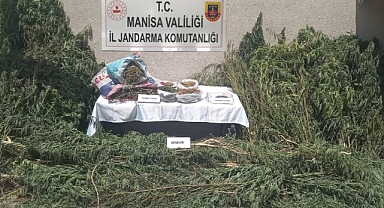  Gördes'de Uyuşturucu Operasyonu:  Kök Kenevir ve  Esrar Ele Geçirildi