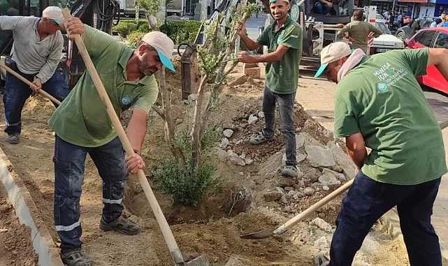 Manisa'da Kurakçıl Peyzaj Dönemi: Hem Estetik Hem Su Tasarrufu