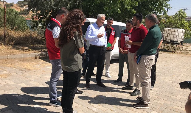 Manisa'da Sahipsiz Hayvanlar İçin Eylem Planı Denetimleri Başladı