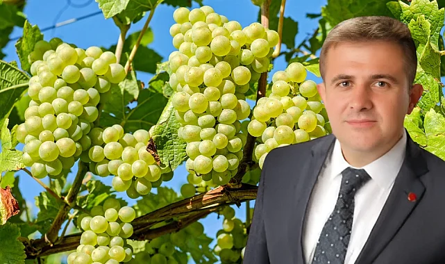Saadet Partisi'nden Üzüm Tepkisi: "150 TL Olmalı"