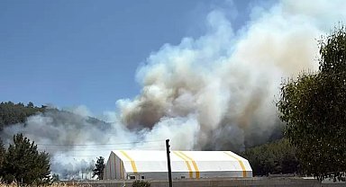 Soma Turgutalp'te Orman Yangınına Hızlı Müdahale