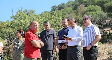 Turgutlu'da Can Dostlara Yeni Yuva: Doğal Yaşam Alanı Projesi Başlıyor