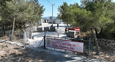 Kırkağaç Belediyesi’nden Sahipsiz Hayvanlara Büyük Yatırım