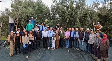 Kıracaksan Zeytin Kır