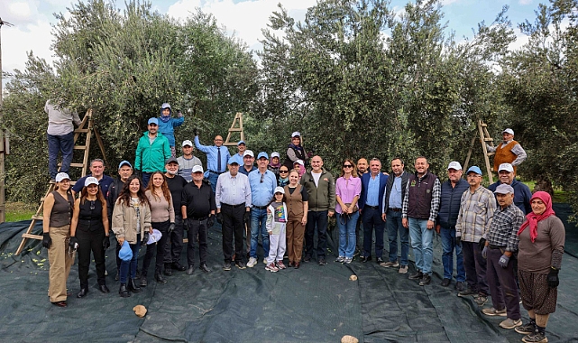 Kıracaksan Zeytin Kır