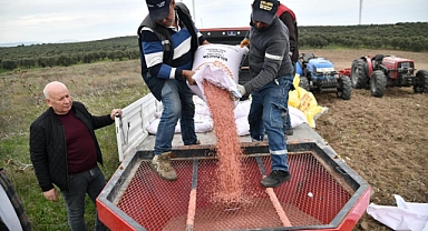 AKHİSAR BELEDİYESİ 125 DÖNÜMLÜK ARAZİSİNDE BUĞDAY VE ARPA EKİMİNE BAŞLADI