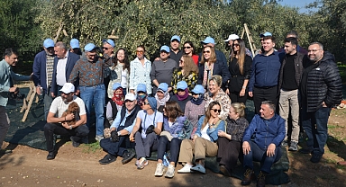 AKHİSAR’DA ZEYTİN HASAT ŞENLİKLERİ DEVAM EDİYOR.