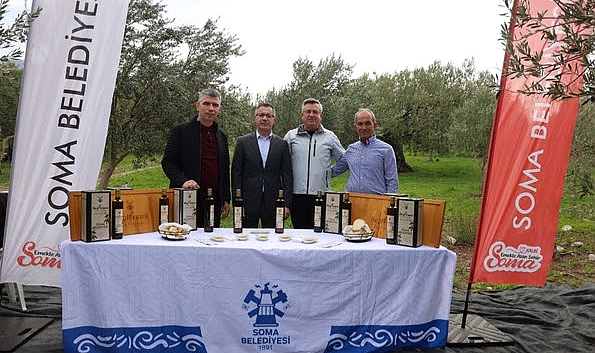 Kömürün kenti, zeytinin bereketi Soma zeytinde şaha kalktı