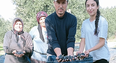 Zeytin Dalı Artık Barışın Değil, Bu İktidarın Adaletsizliğine Karşı Direnişin Simgesidir!