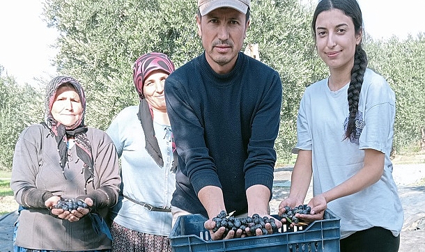 Zeytin Dalı Artık Barışın Değil, Bu İktidarın Adaletsizliğine Karşı Direnişin Simgesidir!