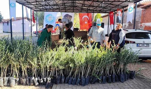 Büyükşehirden Akhisarlı üreticiye 29 bin fidan desteği