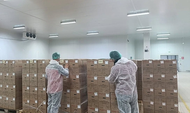 Akhisar’da Yumurta Üretim ve Paketleme Tesisine Mevzuat Denetimi