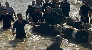 Gediz Taştı, Büyükşehir Mahsur Kalan 44 Vatandaşı Kurtardı
