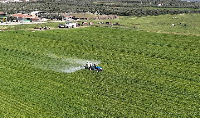 AKHİSAR BELEDİYESİ ARAZİLERİNDE BUĞDAYDA İLAÇLAMA ÇALIŞMASI YAPILDI
