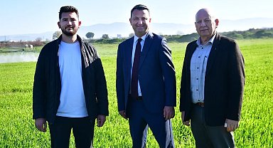 Akhisar Belediyesi Buğday Tarlalarında İlaçlama Çalışması Yaptı 