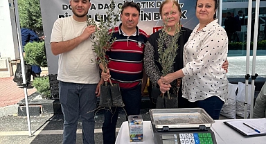 Atık Piller ile Zeytin Fidanı Dikecekler